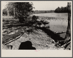 Part of the recreational area on Eastern Shore land use project, Maryland. This spot was formerly known as Milbourne Landing and in the days of plantations was visited by river craft.