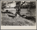 Part of the recreational area on Eastern Shore land use project, Maryland. This spot was formerly known as Milbourne Landing and in the days of plantations was visited by river craft.