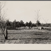 The remains of the Milborne House, an old plantation house on Eastern Shore land use project, Maryland.