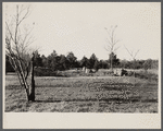 The remains of the Milborne House, an old plantation house on Eastern Shore land use project, Maryland.