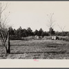 The remains of the Milborne House, an old plantation house on Eastern Shore land use project, Maryland.