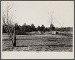 The remains of the Milborne House, an old plantation house on Eastern Shore land use project, Maryland.