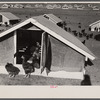 Chicken range, Westmoreland Homesteads, [Greensburg,] Pennsylvania.