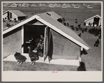 Chicken range, Westmoreland Homesteads, [Greensburg,] Pennsylvania.