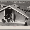 Chicken range, Westmoreland Homesteads, [Greensburg,] Pennsylvania.