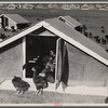 Chicken range, Westmoreland Homesteads, [Greensburg,] Pennsylvania.