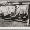 Wife of defense worker hanging out wash in trailer camp on Mount Vernon Highway near Alexandria, Virginia.
