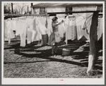 Wife of defense worker hanging out wash in trailer camp on Mount Vernon Highway near Alexandria, Virginia.