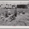 Children of defense workers playing in "their backyards." Trailer camp, Mount Vernon Highway, Alexandria, Virginia.