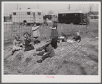 Children of defense workers playing in "their backyards." Trailer camp, Mount Vernon Highway, Alexandria, Virginia.
