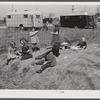Children of defense workers playing in "their backyards." Trailer camp, Mount Vernon Highway, Alexandria, Virginia.