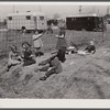 Children of defense workers playing in "their backyards." Trailer camp, Mount Vernon Highway, Alexandria, Virginia.