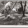 Relaxing after Cherry Blossom Festival. Washington, D.C.
