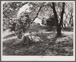 Relaxing after Cherry Blossom Festival. Washington, D.C.