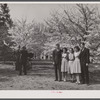 Getting their picture taken. Cherry Blossom Festival, Washington, D.C.