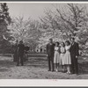 Getting their picture taken. Cherry Blossom Festival, Washington, D.C.