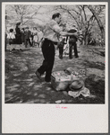 At the Cherry Blossom Festival, Washington, D.C.