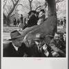 At the Cherry Blossom Festival, Washington, D.C.