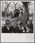 At the Cherry Blossom Festival, Washington, D.C.
