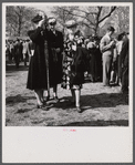 At the Cherry Blossom Festival, Washington, D.C.