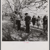 At the Cherry Blossom Festival, Washington, D.C.