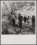 At the Cherry Blossom Festival, Washington, D.C.