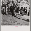 At the Cherry Blossom Festival, Washington, D.C.