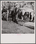 At the Cherry Blossom Festival, Washington, D.C.