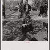 Spectators at the Cherry Blossom Festival, Washington, D.C.