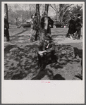 Spectators at the Cherry Blossom Festival, Washington, D.C.