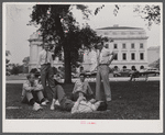 Lunch hour for government employees. Washington, D.C.