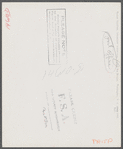 Violet Chandler, laboratory technician, buying War Stamps, Washington, D.C.