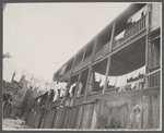 Negro alley near House office building. Washington, D.C.