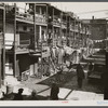 Slums. Washington, D.C.