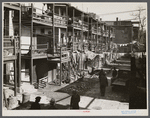Slums. Washington, D.C.