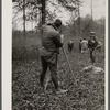 Surveyor at work. Berwyn project, Berwyn [i.e. Greenbelt], Maryland.