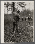 Surveyor at work. Berwyn project, Berwyn [i.e. Greenbelt], Maryland.