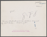 House illustrating accomodations desired by government clerks. Washington, D.C.