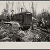 Land clearing. Prince George's County, Maryland.