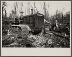Land clearing. Prince George's County, Maryland.