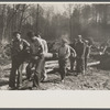 Transients clearing land. Prince George's County, Maryland.