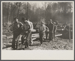 Transients clearing land. Prince George's County, Maryland.