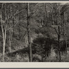 Old iron mine on the property of Resettlement Administration. Berwyn [later Greenbelt], Maryland.