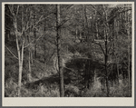 Old iron mine on the property of Resettlement Administration. Berwyn [later Greenbelt], Maryland.