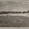 Progress of Berwyn Project, [Greenbelt,] Maryland.