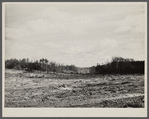 Progress of Berwyn project. Prince George's County, [Greenbelt,] Maryland.