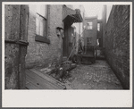 Alleyway off Van Horn Street, Hamilton County, [Cincinnati,] Ohio.