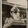 Frieda Hempel's dog Pitti collecting money for watering station for horses
