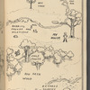 Winnie-the-Pooh