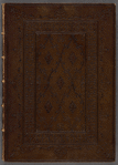 Apocalypsis Sancti Johannis (Block-book)